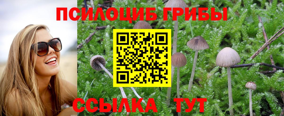 Псилоцибиновые грибы мухоморы  Вход с VPN  наркошоп  Псилоцибиновые грибы мухоморы  Гусиноозёрск 