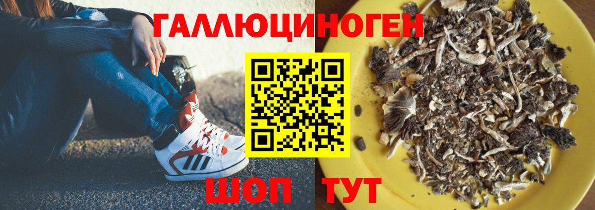 Псилоцибиновые грибы MAGIC MUSHROOMS Гусиноозёрск